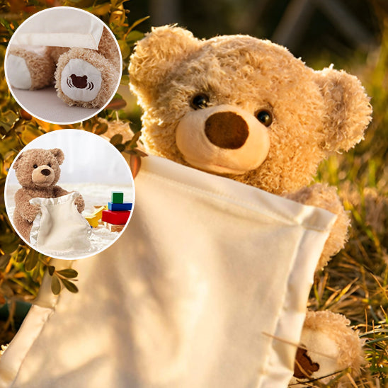 Teddy Bear - Ourson Coquin